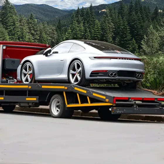 Lüks ve Sıfır Araç Taşıma